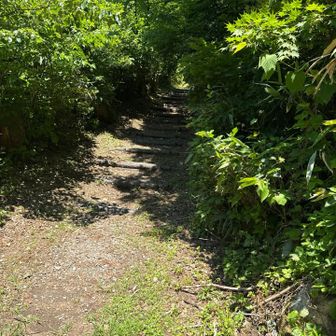 登山道