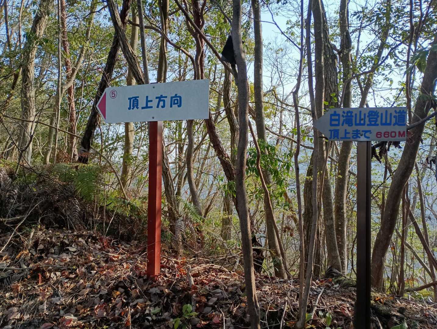 此からは、尾根づたいに登って行きます。