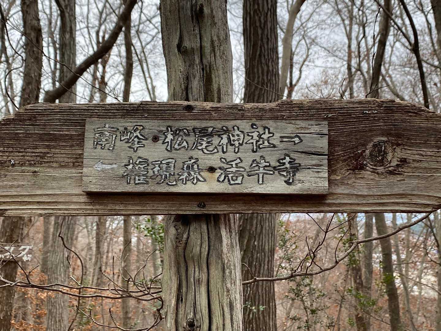 はーい🙋‍♀️💕