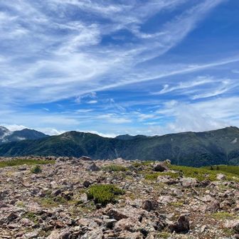 右から塩見岳、蝙蝠岳、悪沢岳
ずっと見ていられる♪あまり休憩をとらない方ですが、30分ボケって眺めていた。