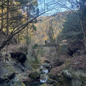 序盤は沢山橋があって〜飽きない登山道😙