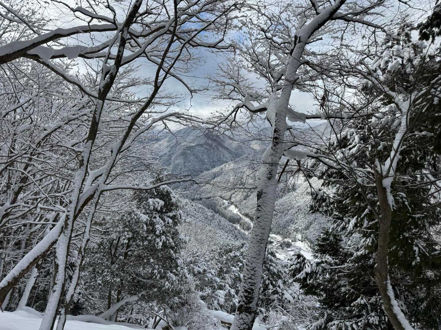 急登続く