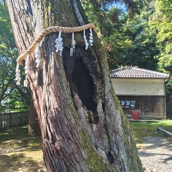 ん？
祀られている…