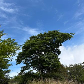 丹沢山で今日一番の青空💙
いや、5月以降一番の💙