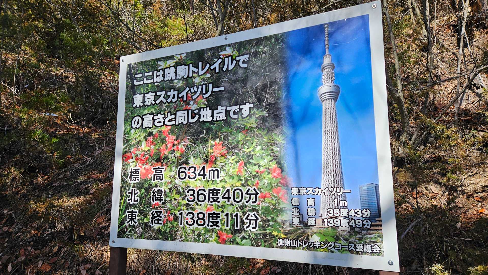 金毘羅神社-地附山 周回コースの写真