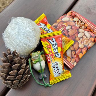 おにぎり食べて休憩🍙