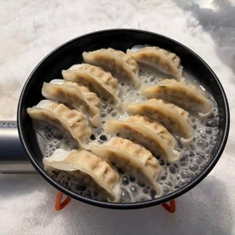 そしてメインの餃子🥟