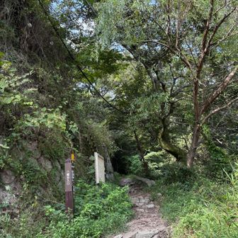下山しちゃった