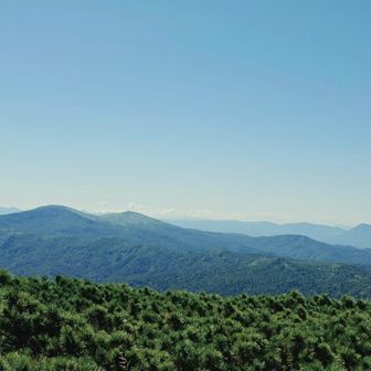 こっちの山はよくわからないけど、見た目が最高ですよね。