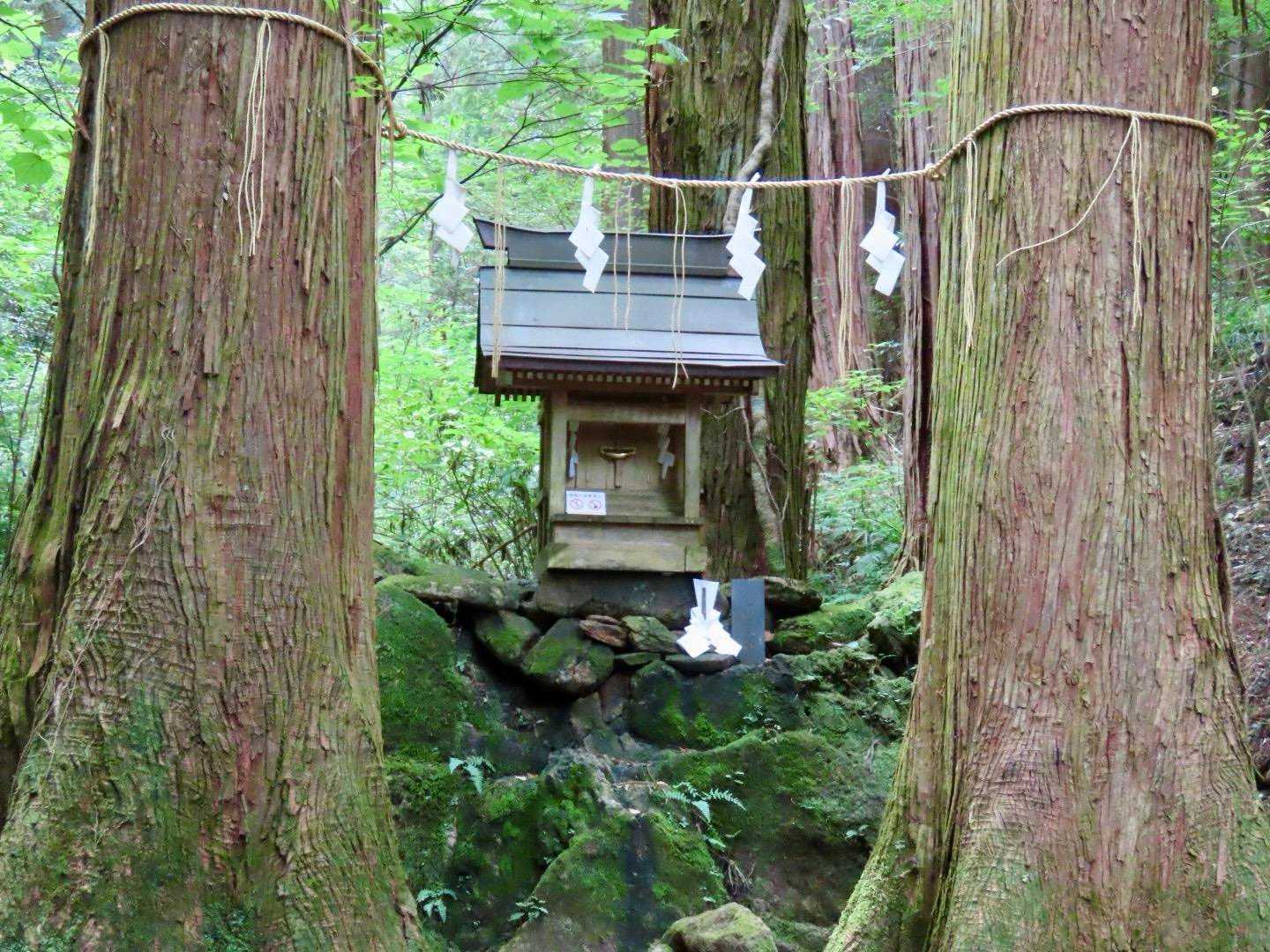 途中にもいくつか神社があります⛩️