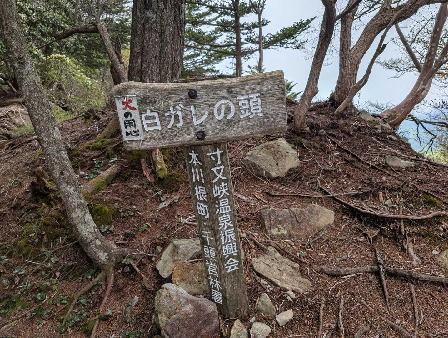 動悸と息切れするし心臓痛い
動いているのに寒い(⁠´⁠ ⁠・×・`⁠)
ガチで体調悪いカモ。