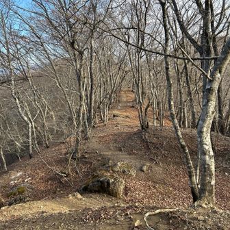 黒岳からはずっと稜線歩き