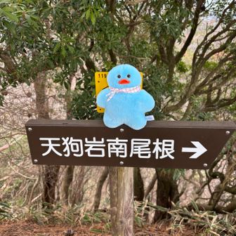 グレー🩶ピークへ