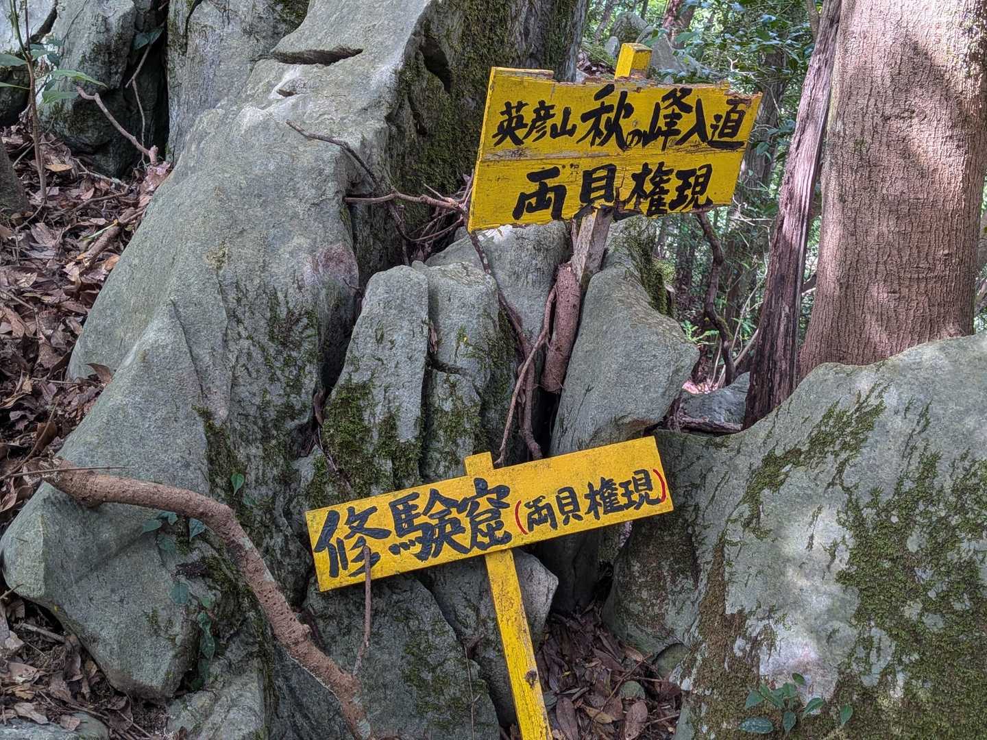 新城-茶臼山-金満山-焼立山 周回コースの写真