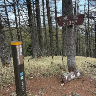 千頭星山到着
眺めはない