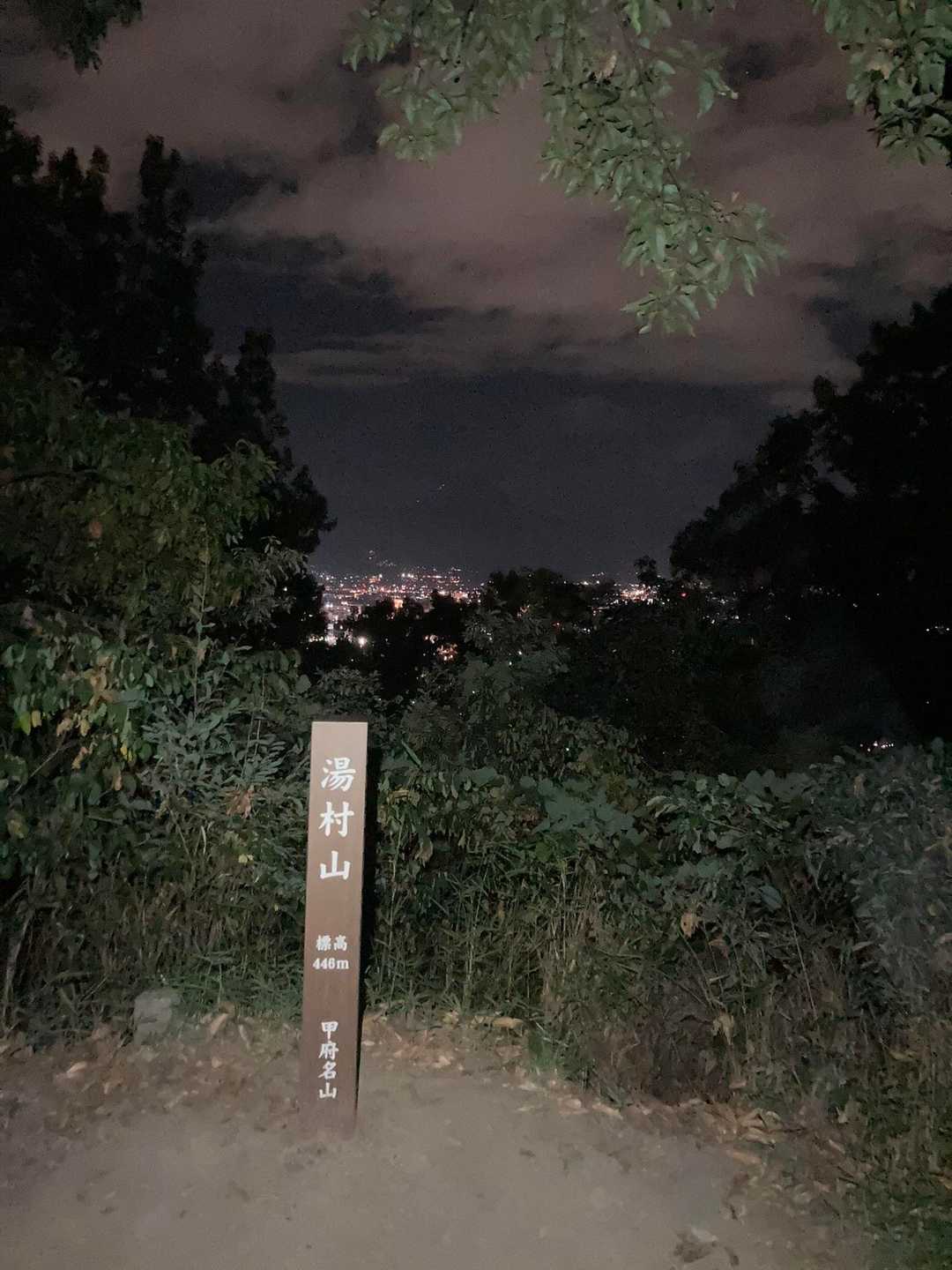 湯村山登山口-法泉寺山 往復コースの写真