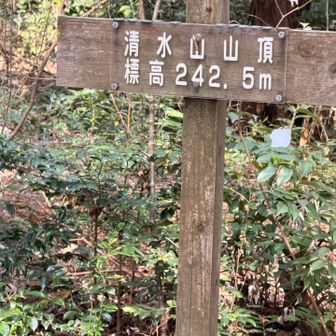 清水山242.5mみたい