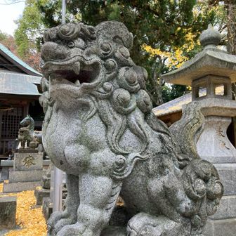 鼻がやや大きく人間味がある狛犬。
上腕やその付け根もしっかりしている。