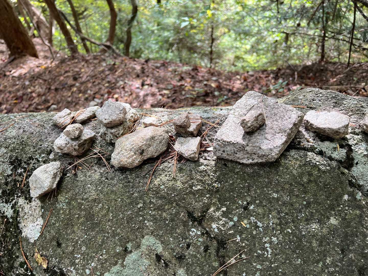 前回来たときにもひとつ置かせてもらいました。ちょっと石が少なくなってるかも‥