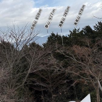 古処山より馬見山のほうが高いんだねぇ
と話ながら