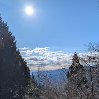 これが唯一見える眺望かな😅