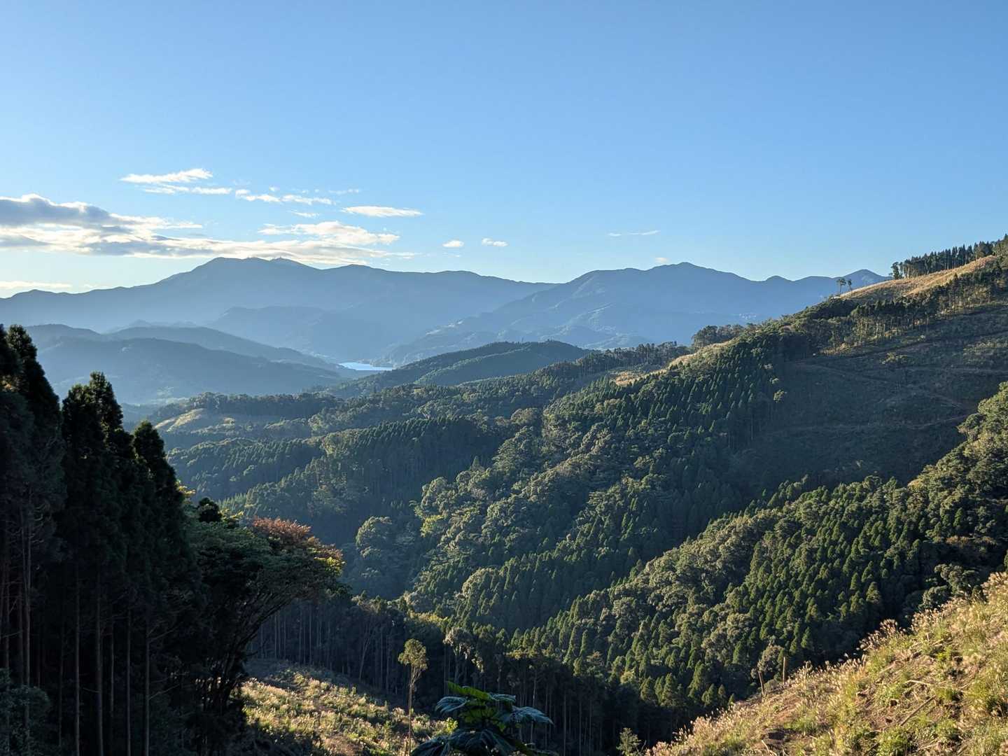 伐採地から次に繋ぐ鰐塚山。