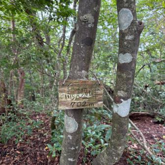 鳥越峰に到着✌️
山頂からの眺望は無し