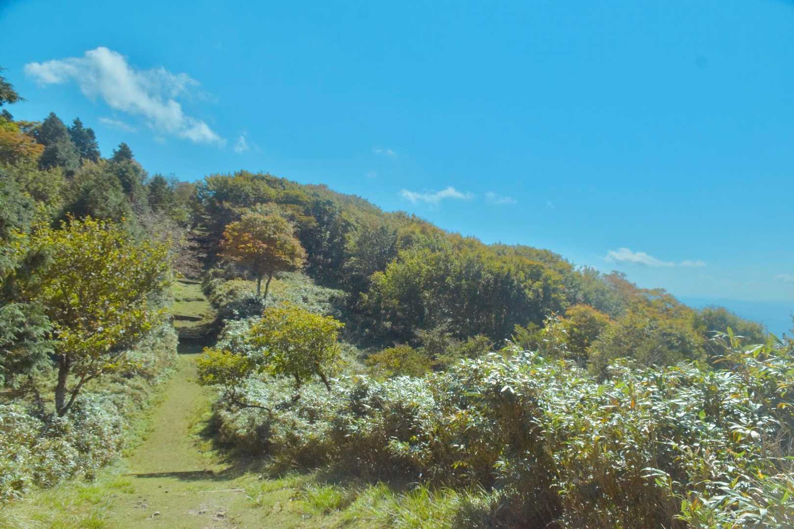 と、思ったら
まだ先があった( ˉ ˘ ˉ; )

ここ、いいね！
紅葉したら良さげ