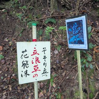 写真と　俳句の看板沢山あります🧾☺️