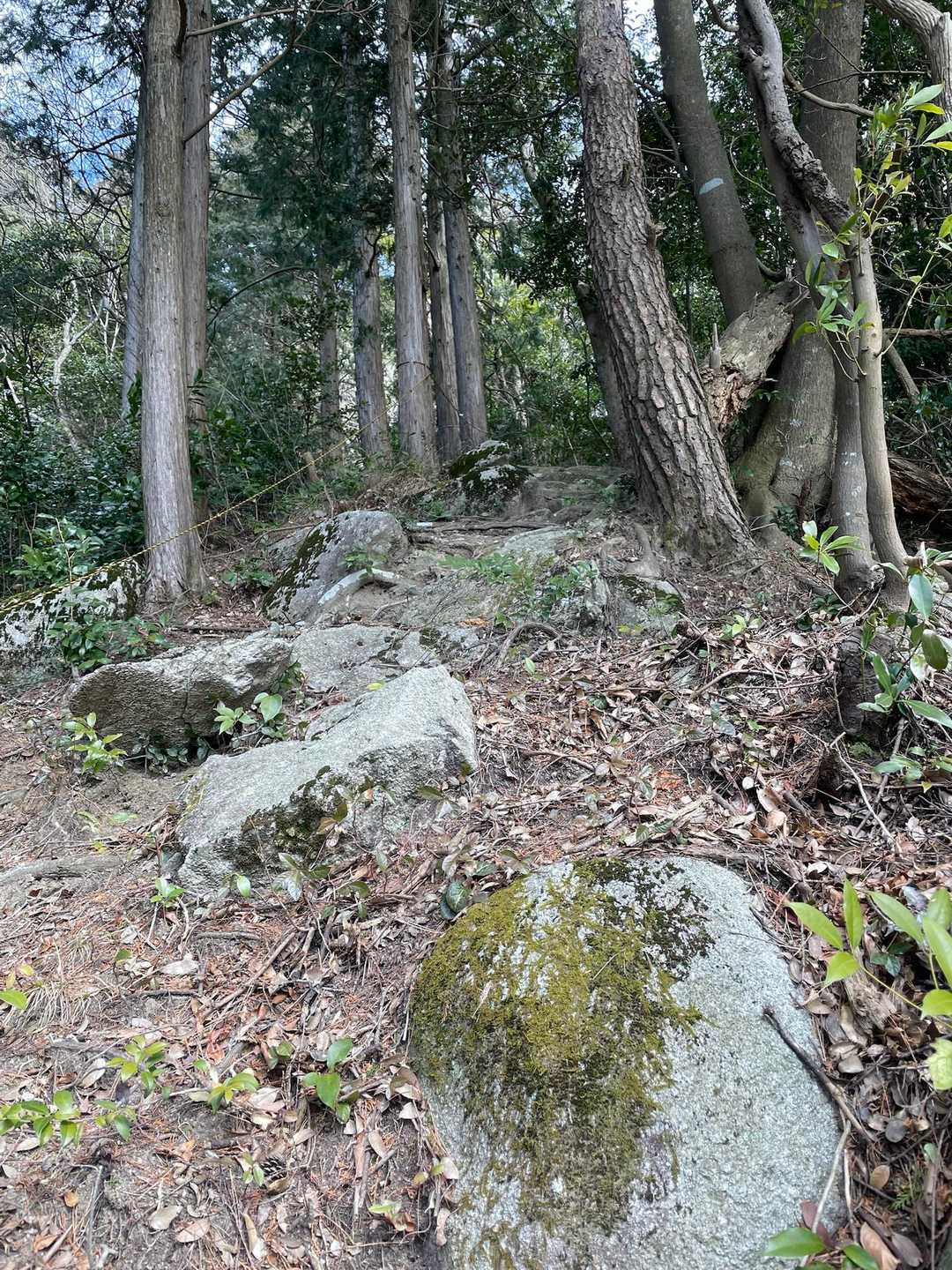 荒平山登山口-荒平山-油山 往復コースの写真