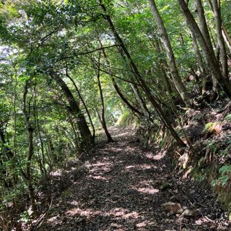 下山します