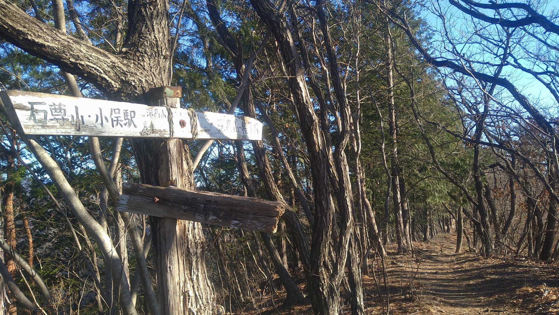 湯殿山分岐
歩き易い平らな道が続きます