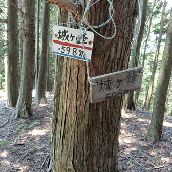 ピークハントを続けます。