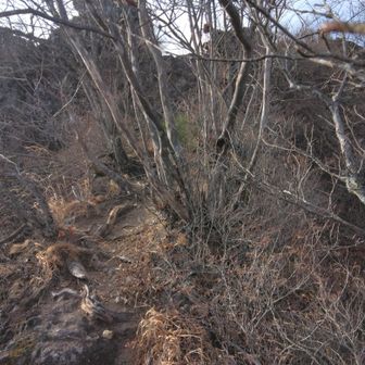 あと少しで中ノ岳