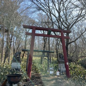 藤原登山口近くの駐車場に停めます🚙
こちらの鳥居をくぐってスタート！