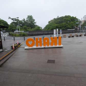石段歩き終了。
営業開始を待って、温泉入って帰りましょう！