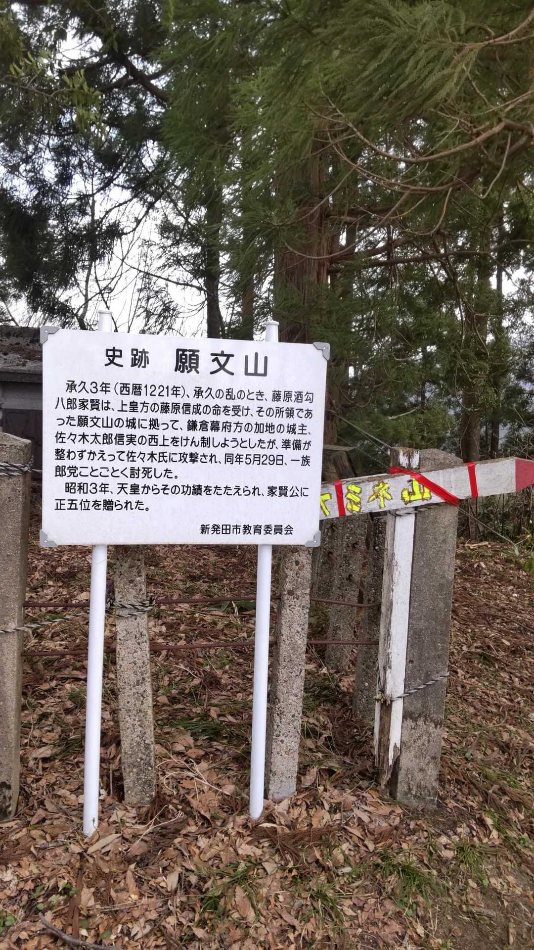 桜公園登山口-願文山-大峰山 往復コースの写真