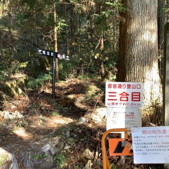 蜜岩通りから登り再開