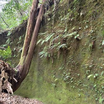 誰もいない・・
暗い、暗い
（と心細くなる私）