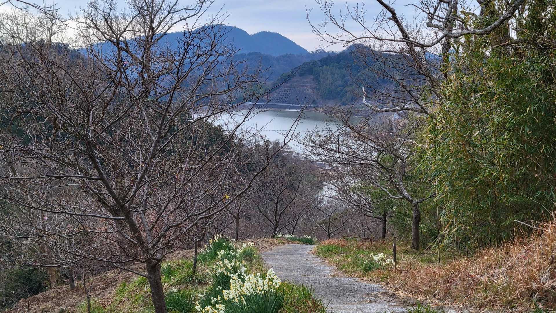 大崩バス停-津森山-人骨山 周回コースの写真