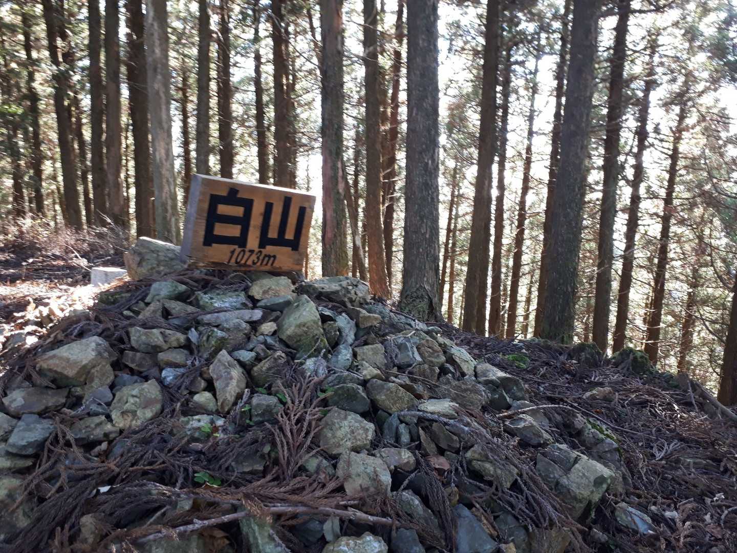 到着