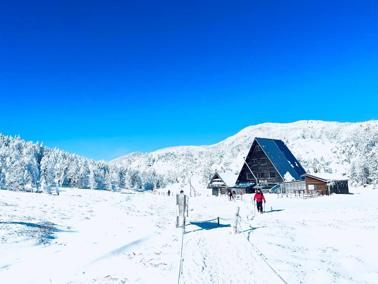 縞枯山荘はスルー