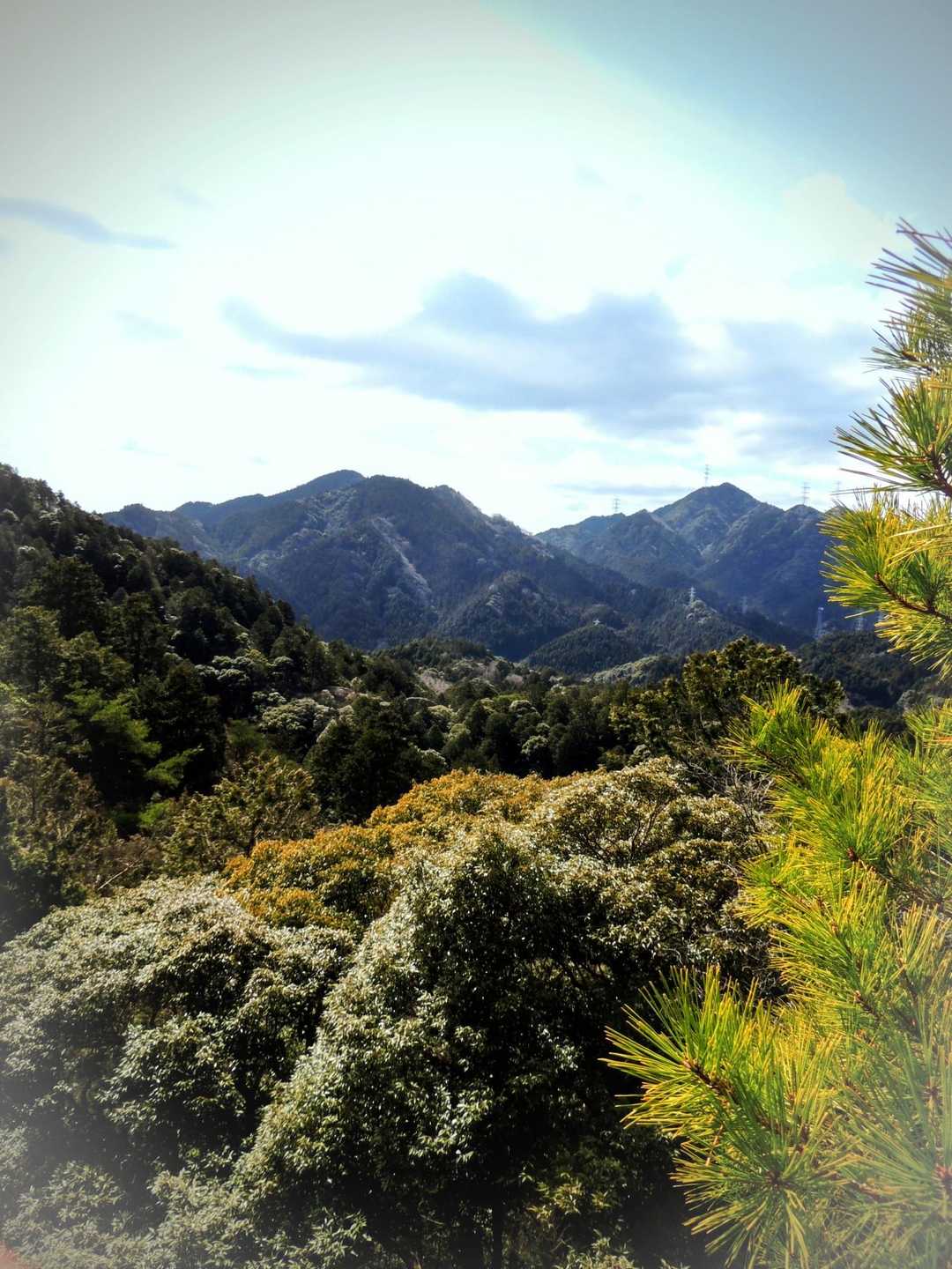 筆捨山 往復コースの写真