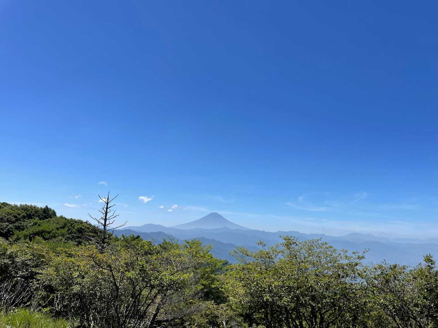 柳沢峠-ハンゼノ頭 周回コースの写真