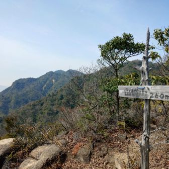 山城山▲260mに着いた！💦😤
右田ケ岳▲より70分