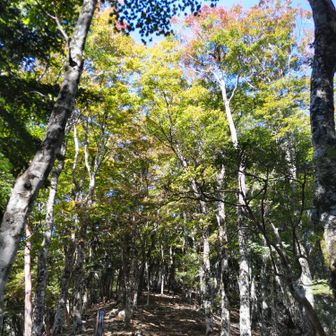 ここから本格的登りになります💪