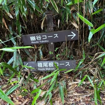 幽谷コースへ