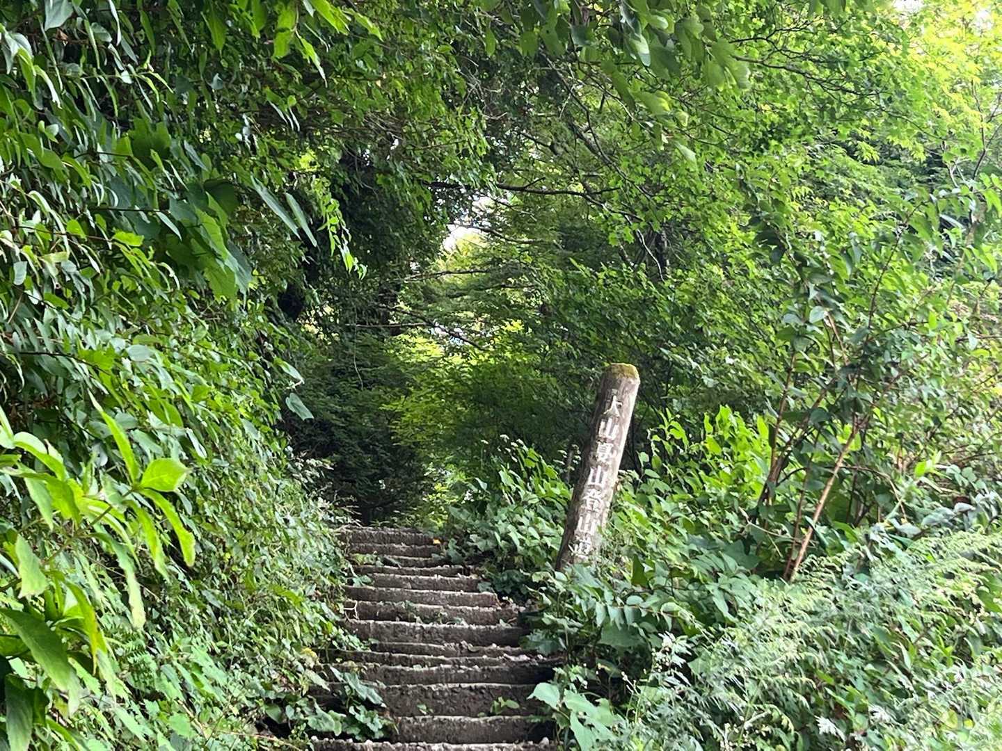 荷物重いので夏山登山道から。