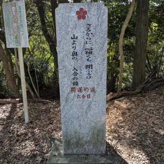 登山というよりウォーキング
