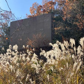 額井岳の反射板　何に使う？